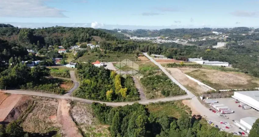 Terreno à venda na Clemente Pedro Dalcin, 1, Tamandaré, Garibaldi