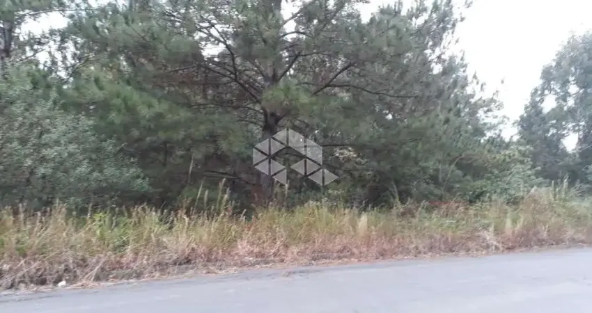 Terreno à venda na Br 470 Km 224, 1, Centro, Garibaldi