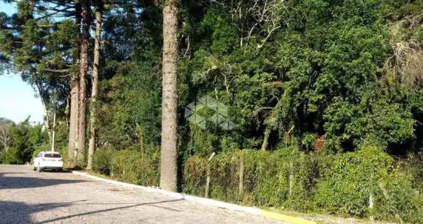 Terreno à venda na Alino Lorenzini, 130, Peterlongo, Garibaldi