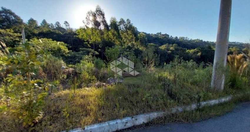 Terreno à venda na Rua Plauto de Abreu, 1, Santo Antão, Bento Gonçalves