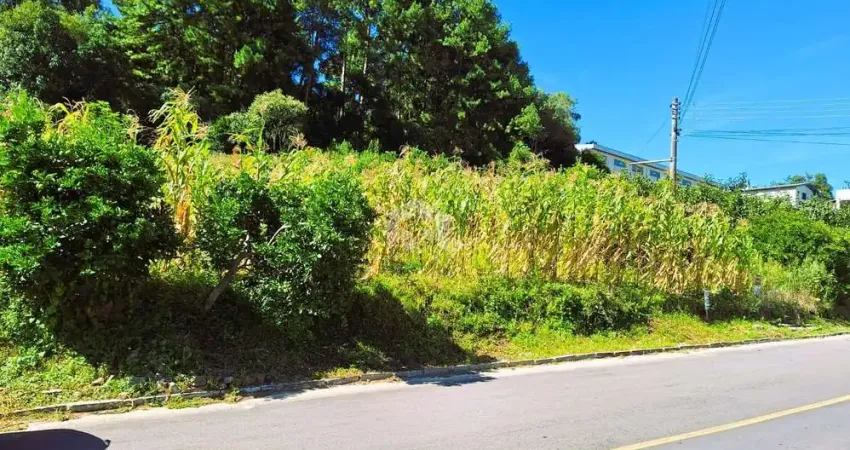 Terreno à venda na Cristóvão Colombo, 100, Santa Terezinha, Garibaldi
