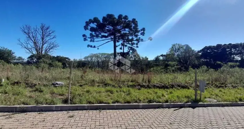 Terreno à venda na RST 431, 72, Centro, Bento Gonçalves