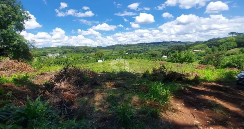 Chácara / sítio com 1 quarto à venda na Linha Müller, 1, Zona Rural, Carlos Barbosa