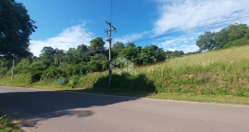 Terreno à venda na Rota do Sol, 45, São Luiz de Castro, Boa Vista do Sul