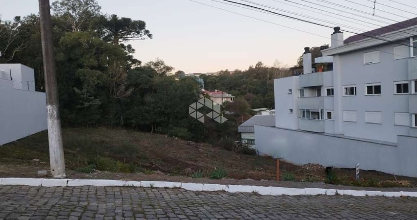 Terreno à venda na Alino Lorenzini, 2, Peterlongo, Garibaldi