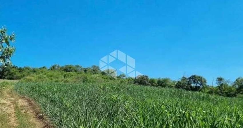 Grande área a venda nas proximidades do centro de boa vista do sul.