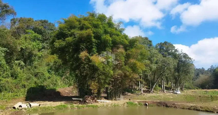 Chácara / sítio à venda na Carolina Alta, 10, Zona Rural, Boa Vista do Sul