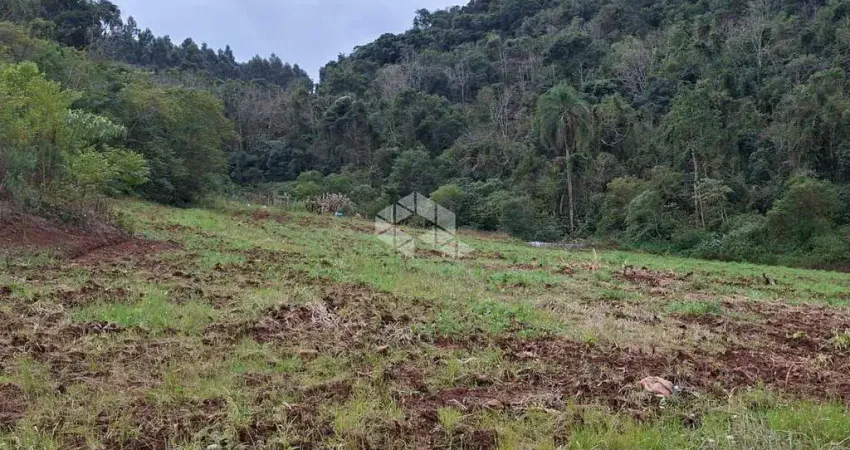Chácara / sítio à venda na Linha São José, 76, Centro, Coronel Pilar