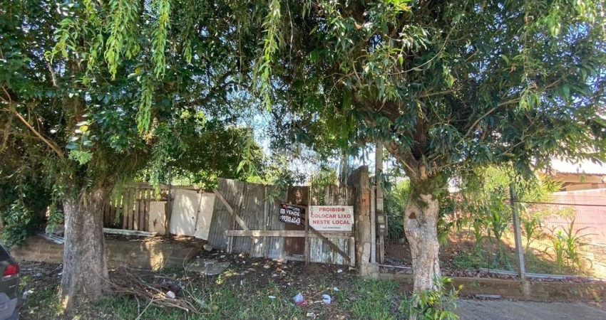 Terreno localizado no bairro São José com 10 metro de frente e 31 de fundos