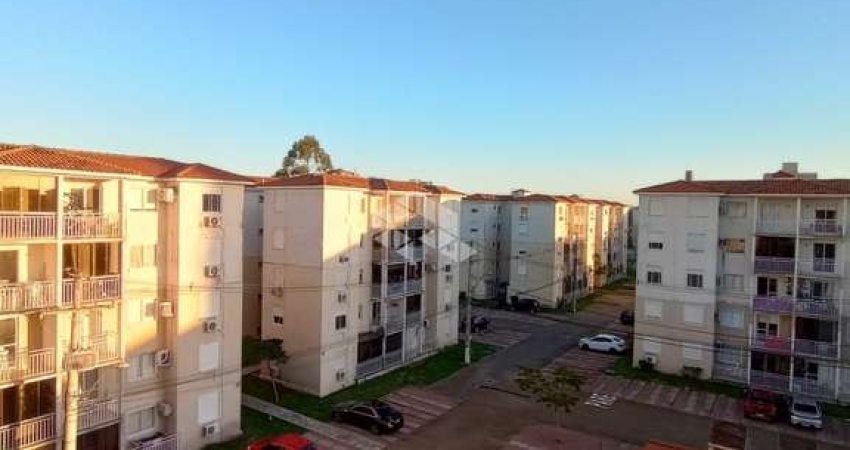 Apartamento 3 dormitórios no Bairro Humaitá em Porto Alegre
