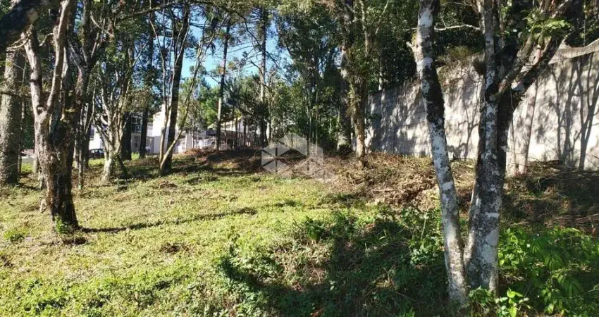 Terreno Vila Alpina