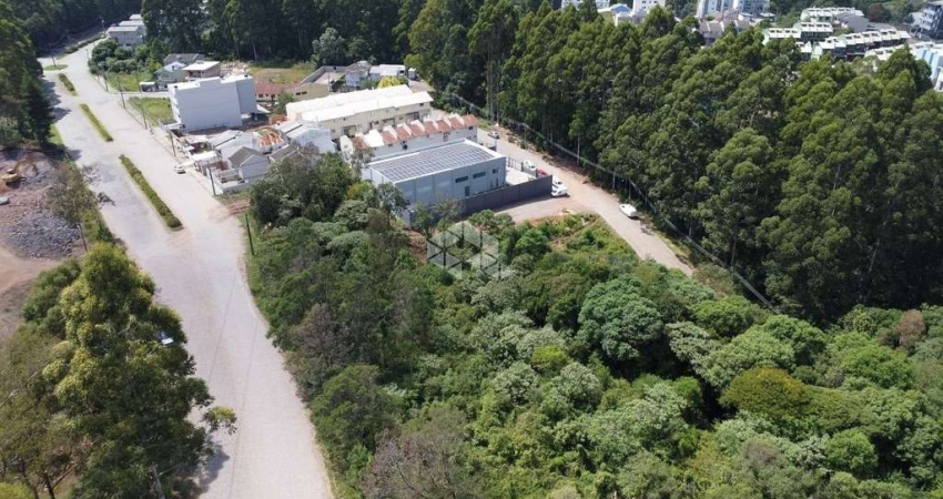 Terreno no bairro Forqueta em Caxias do Sul
