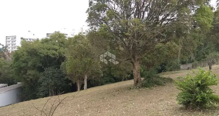 Terreno à venda na Servidão do Palmeiras, 1, Itacorubi, Florianópolis