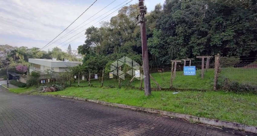 Terreno à venda na Henrique Aloisio Bockorni, 187, Vista Alegre, Ivoti