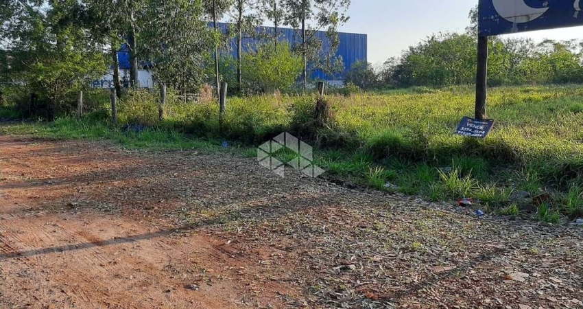 Terreno 7668m2 em Cachorreira