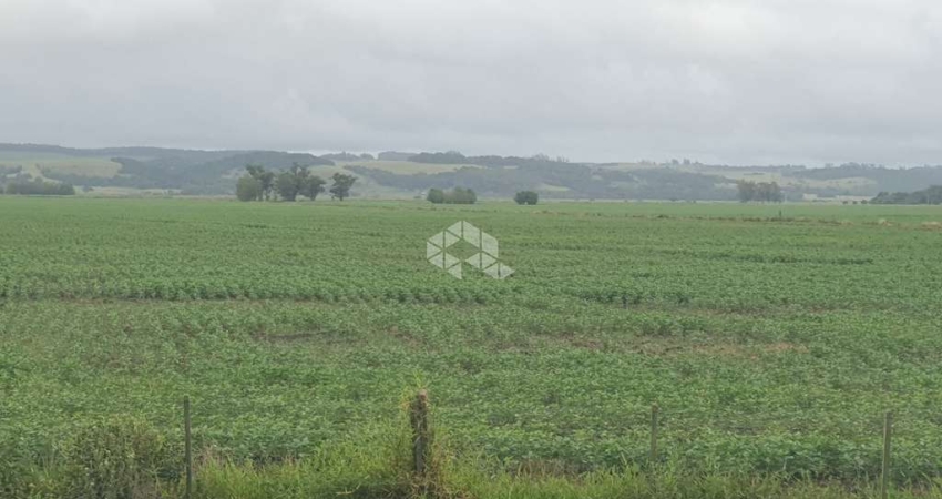 Fazenda à venda na Telmo Sessim, Centro, Capivari do Sul