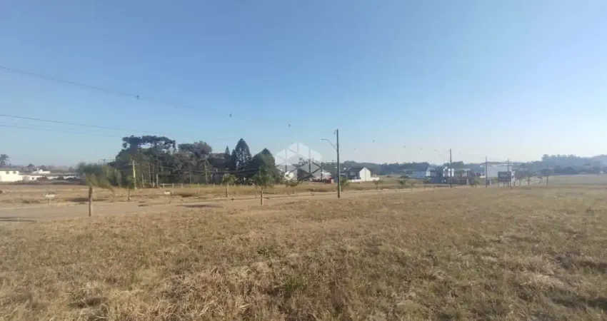 Terreno plano pronto para construir em Linha Santa Cruz