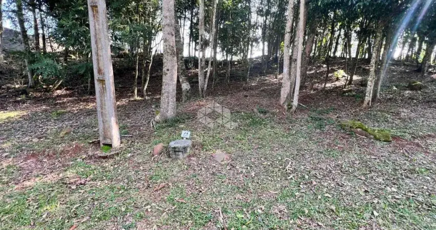 Terreno em condomínio fechado à venda na Avenida Leo Kraether, 1566, Country, Santa Cruz do Sul