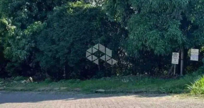 Terreno à venda na Rua Caroba, 50, Monte Verde, Santa Cruz do Sul