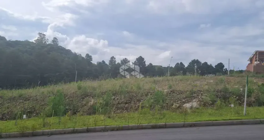 Terreno à venda na Rua Gilberto Cabeda Menna Barreto, 365, São Giácomo, Caxias do Sul