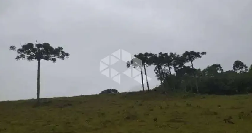 Fazenda à venda na Dos Ilhéus, 420, Zona Rural, Caxias do Sul