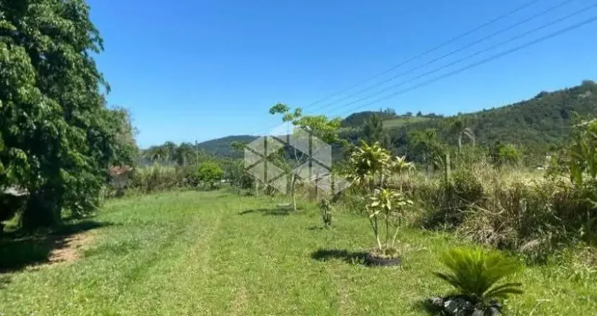 Chácara / sítio à venda na 242, 100, Zona Rural, Taquara