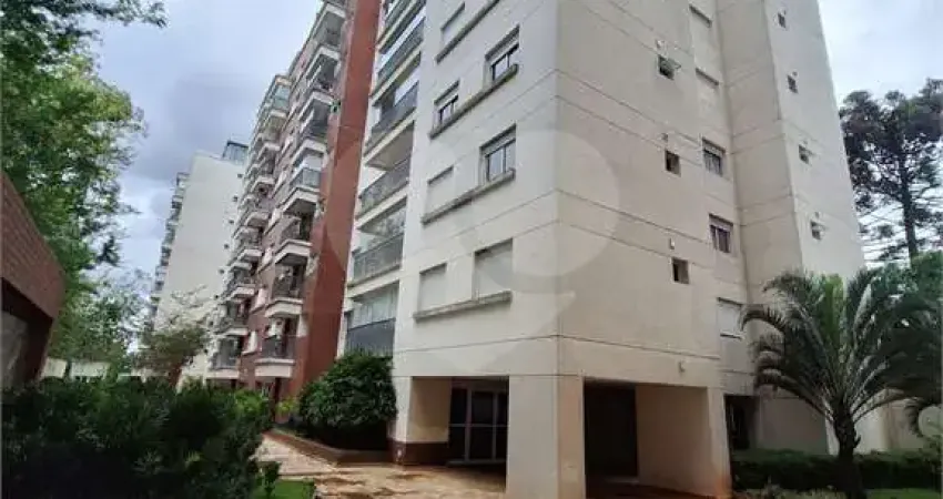 Apartamento com 3 quartos à venda na Rua Canuto Borelli, 273, Campo Grande, São Paulo