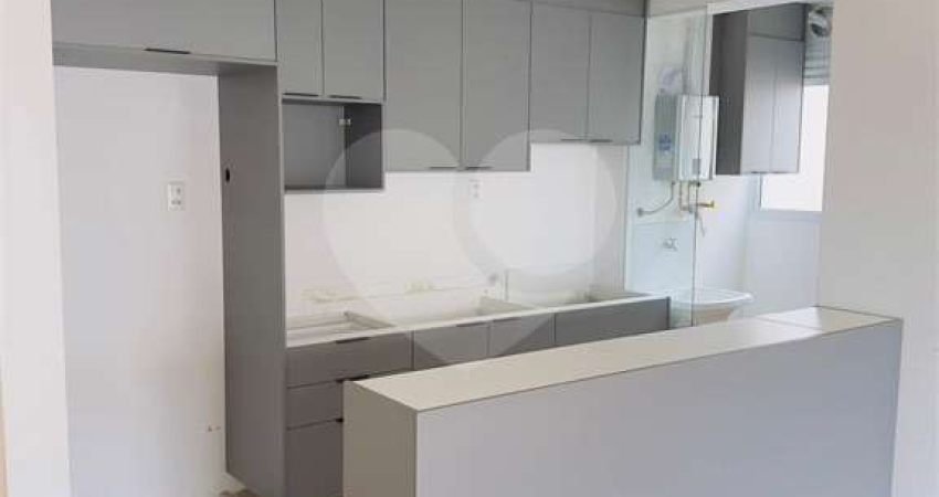 Apartamento 3 dormitórios Vila Guarani