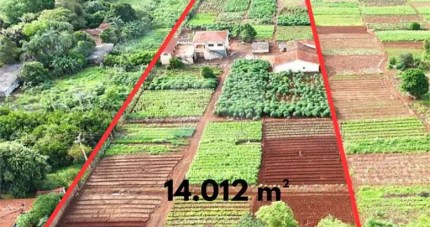 Terreno comercial à venda no Jardim Itaú, Ribeirão Preto 