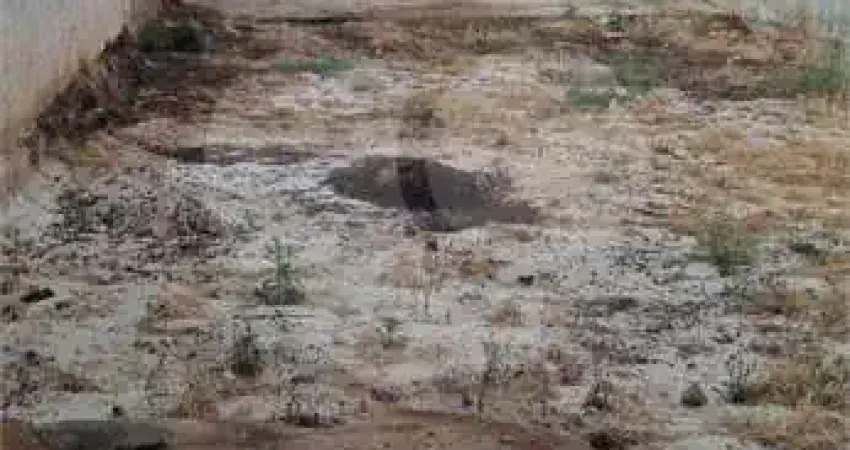 Terreno comercial à venda na Vila Monte Alegre, Ribeirão Preto 