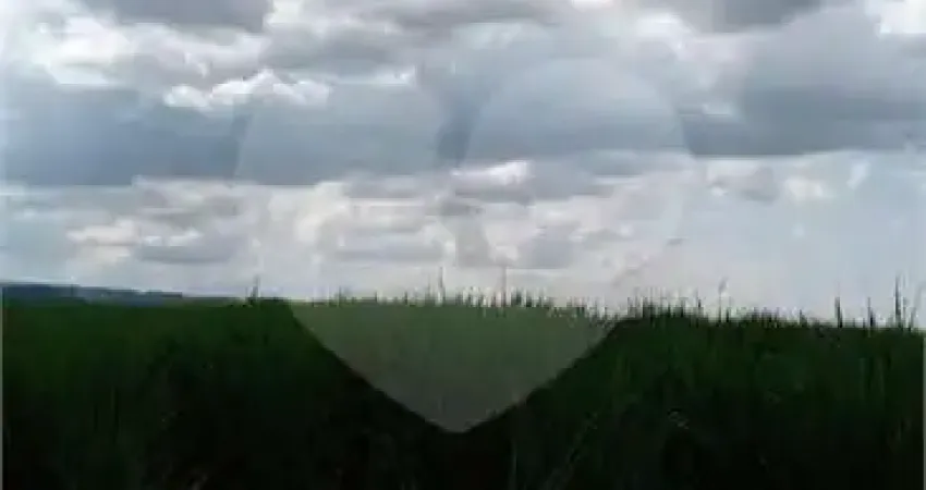 Fazenda com 1 quartos à venda em área rural de ribeirão preto - sp