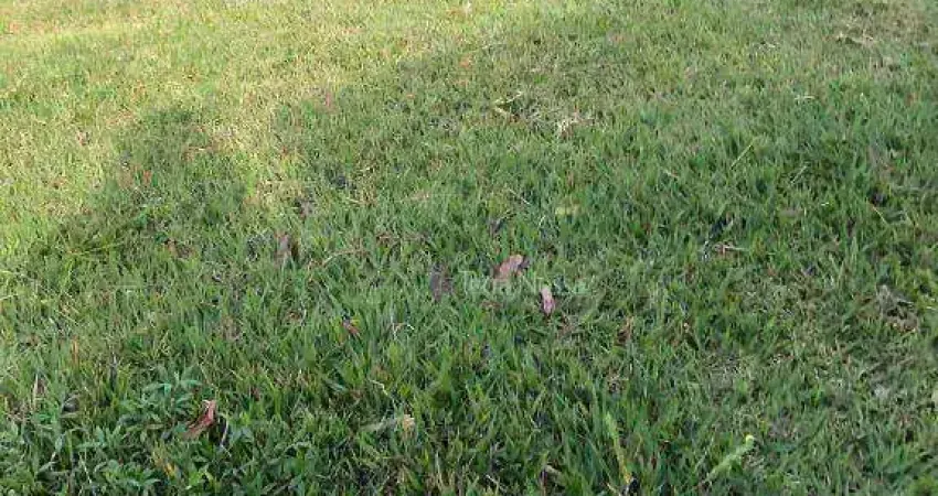 Terreno em condomínio fechado à venda no Condomínio Portal do Bosque, Louveira