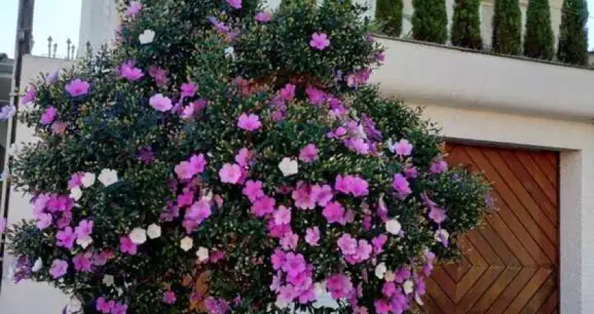 EXCELENTE  SOBRADO À VENDA NO JARDIM VILA FORMOSA !!