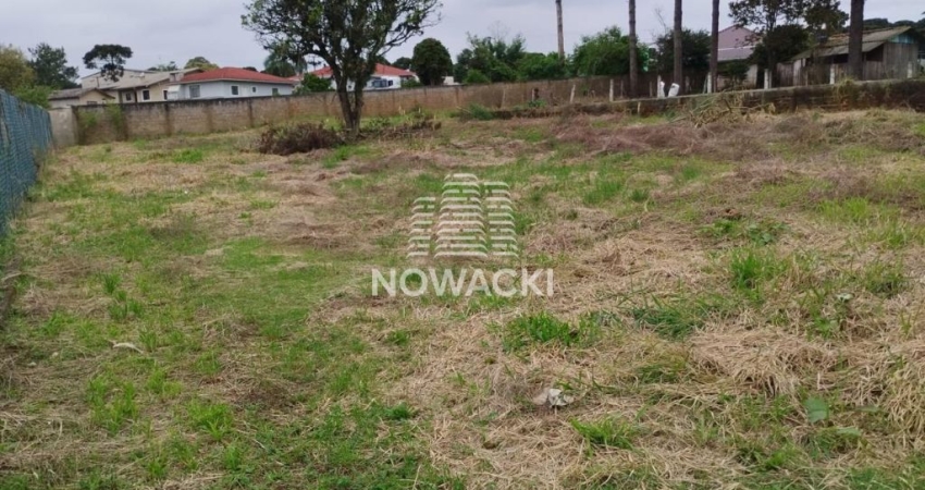 Terreno comercial à venda na Rodovia BR-476, 332, Fazenda Velha, Araucária