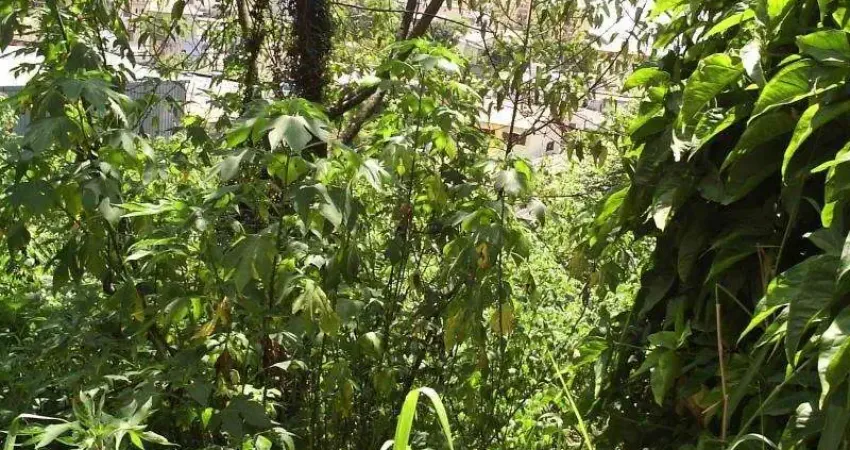 Terreno comercial à venda na Rua Manuel Jacinto, --, Morumbi, São Paulo