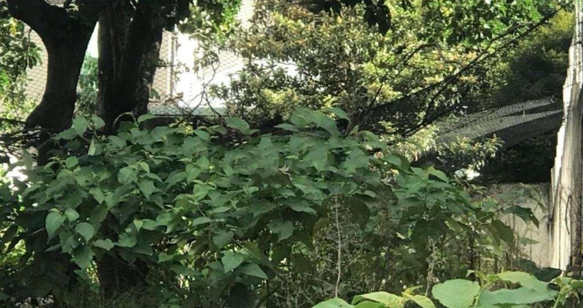 Oportunidade para você que está procurando um terreno nobre em um dos melhores endereços de SP.