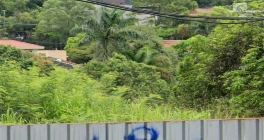 Terreno à venda na Rua Pascoal Vita, --, Vila Beatriz, São Paulo