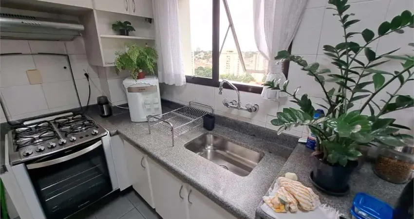 Apartamento com 3 quartos à venda na Rua Pirituba, --, Planalto Paulista, São Paulo