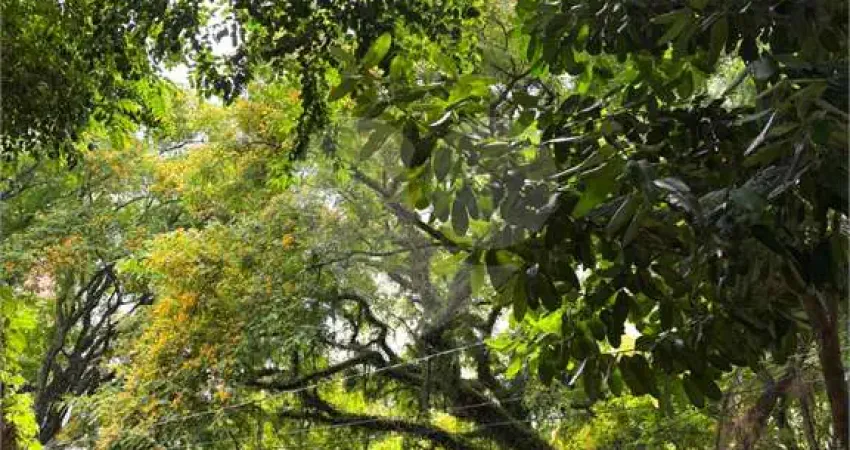 Apartamento com 4 quartos à venda na Rua Isabel de Castela, --, Vila Madalena, São Paulo