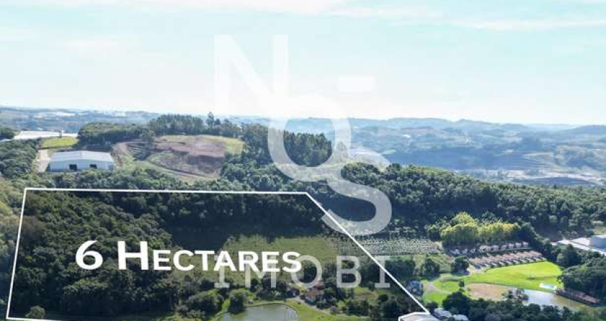 Área de Terras Rurais entre Flores da Cunha e São Gotardo