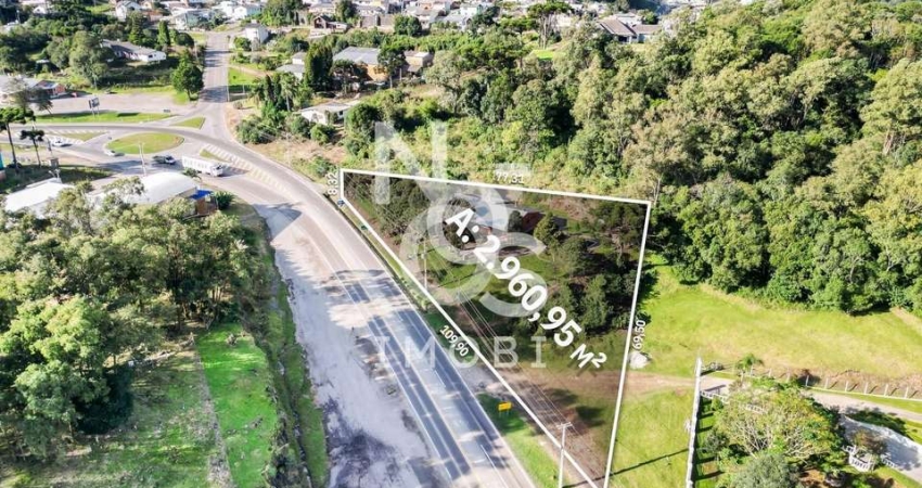 TERRENO NA RS 122 FRENTE À FANTE BEBIDAS EM FLORES DA CUNHA