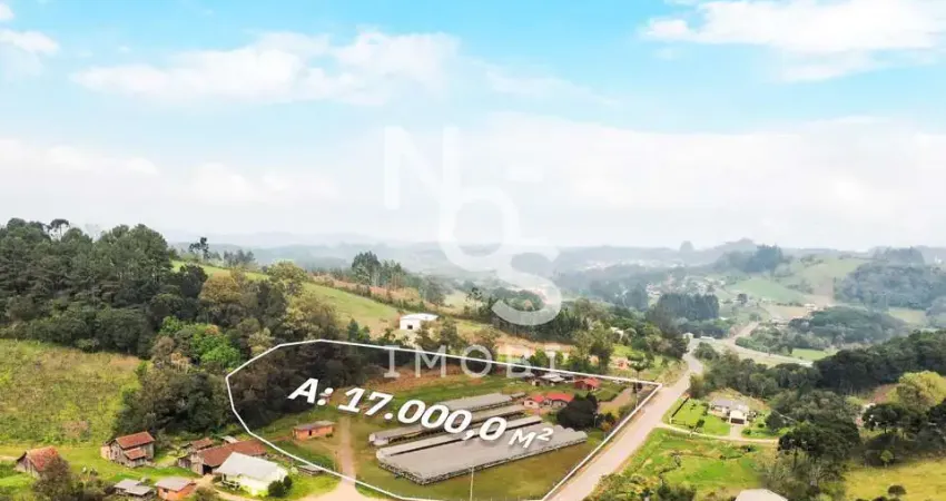 Área rural à venda única no mercado 02 moradias com plantação morangos  ipe - rs