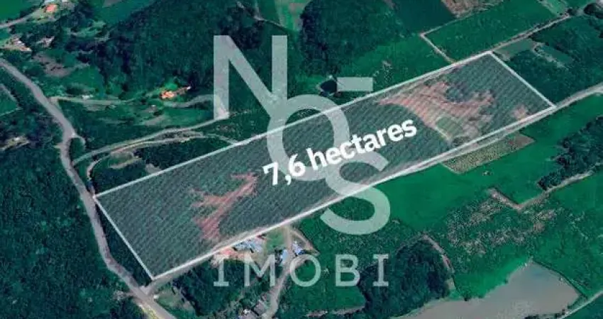 Terras para plantio no travessão 7 de setembro em flores da cunha