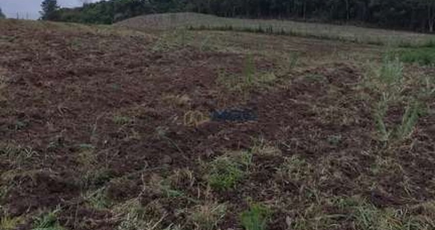 Terreno à venda no Bateias, Campo Largo 