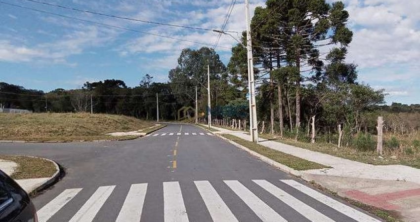 Excelente oportunidade de investimento! Terreno em loteamento com 161,85 Araucária