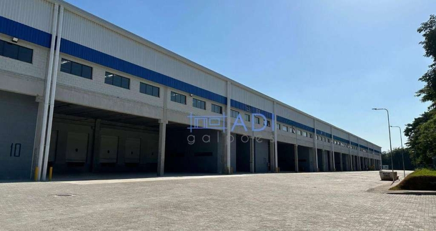 Galpão Logístico Industrial Locação - 8.641 m² - Rod. Castello Branco - Barueri - SP