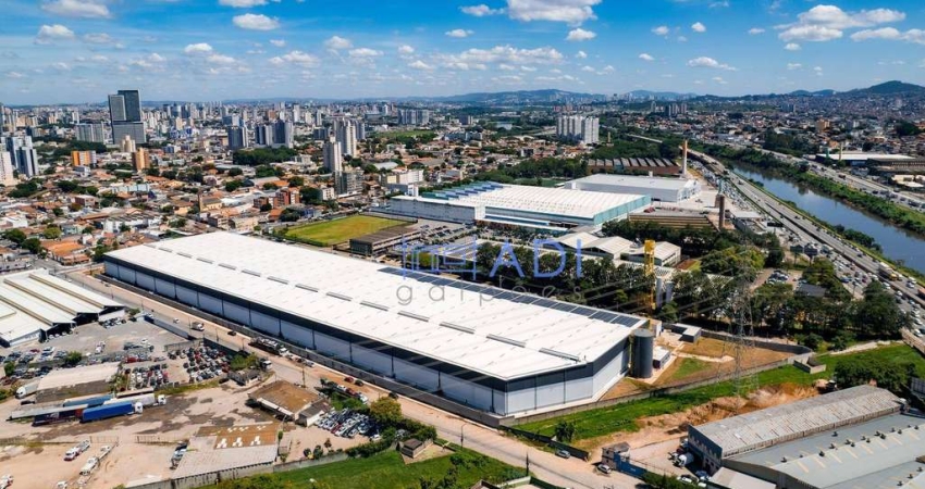 Galpão Logístico/Industrial Locação - 30.000 m²  - Osasco/SP