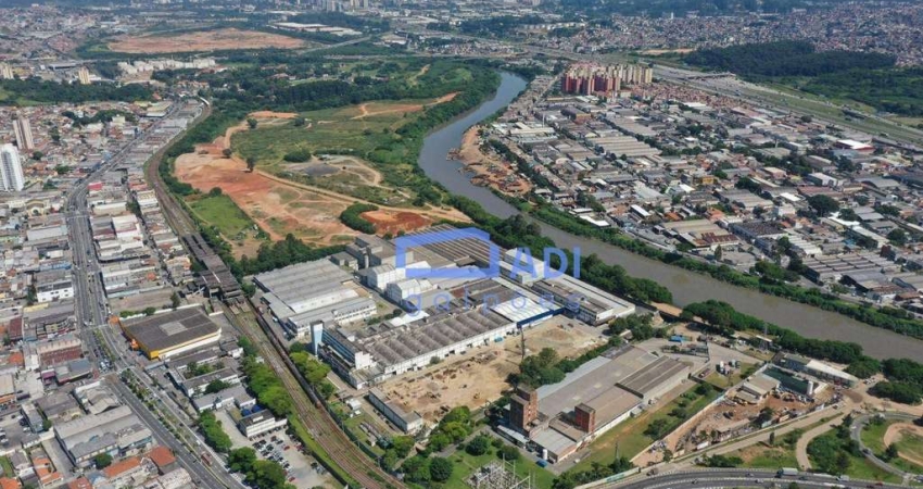Galpão Industrial Logístico para Locação - 3300 m² - Rod. Castello Branco - Osasco - SP