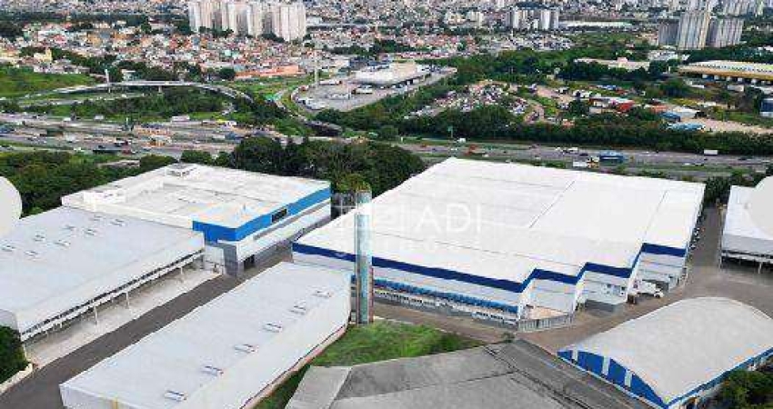 Galpão Logístico para Locação - 7.042 m² - Pq. Novo Mundo - São Paulo - SP