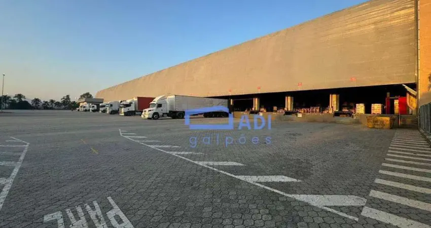 Galpão Industrial/Logístico Monousuário - Locação - 34.173 m² - Rod. Dutra - Guarulhos - SP